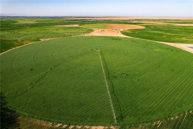 绿色乳业革命：从沙漠治理到灯塔工厂(图1)