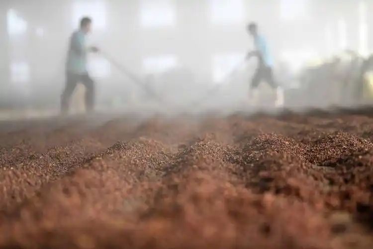 四季贵宾1998,岁月陈酿孕育醇厚口感(图1) 四季贵宾1998,岁月陈酿孕育醇厚口感(图1)