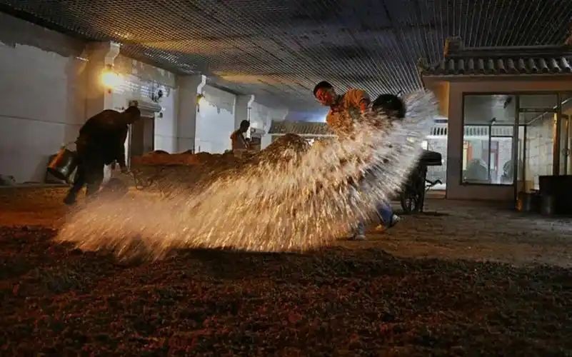 四季贵宾1998,岁月陈酿孕育醇厚口感(图3) 四季贵宾1998,岁月陈酿孕育醇厚口感(图3)