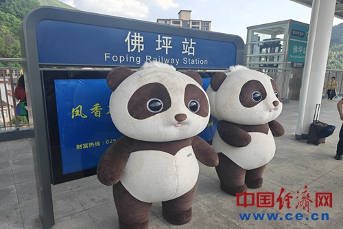 【发现最美铁路】打破交通瓶颈 西成高铁开启“熊猫第一县”经济发展引擎(图3)